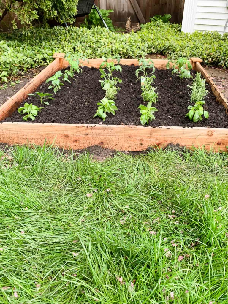 How To Maintain A Vegetable Garden - Home with Keki